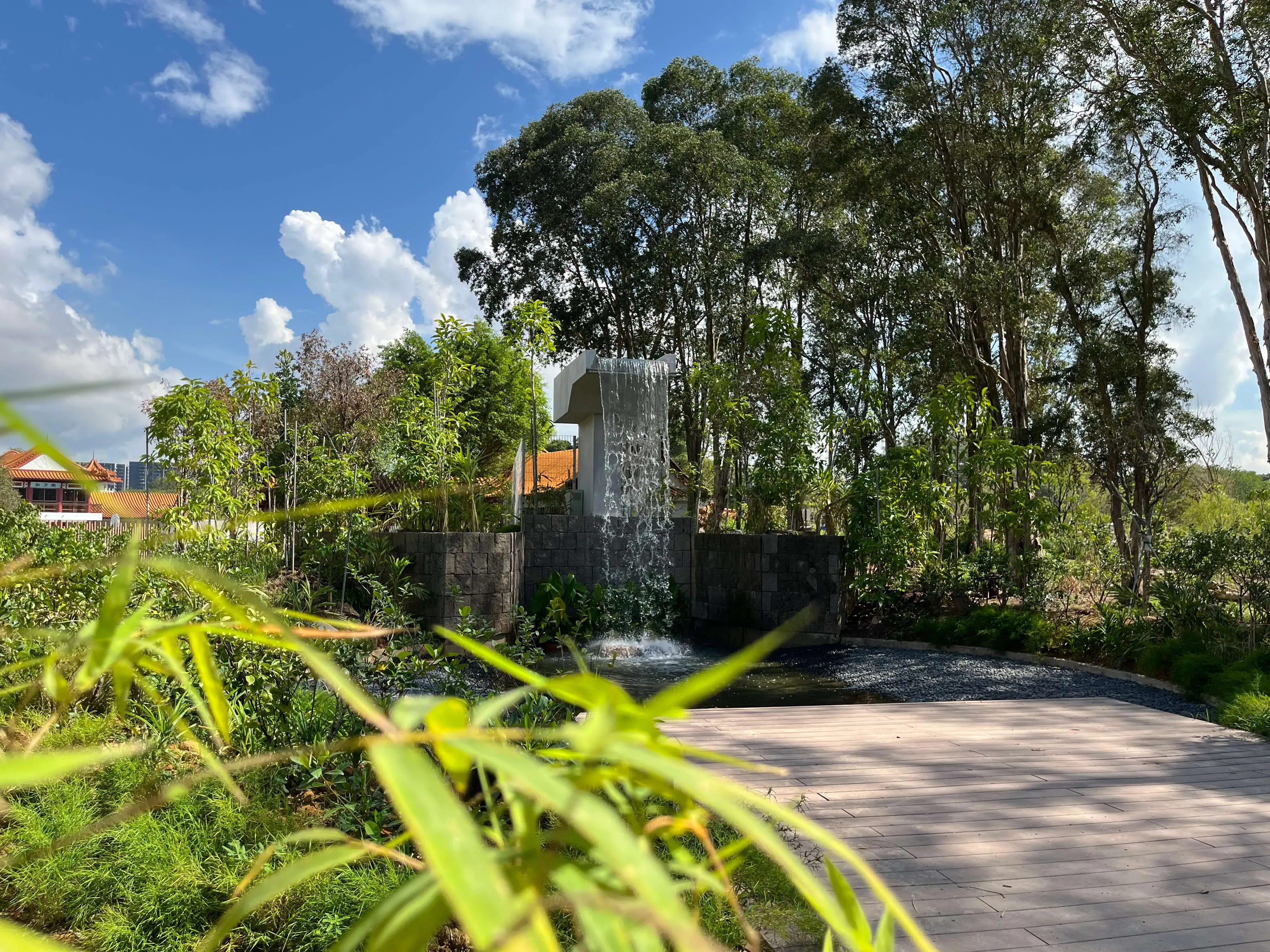 Bamboo Grove and Waterfall